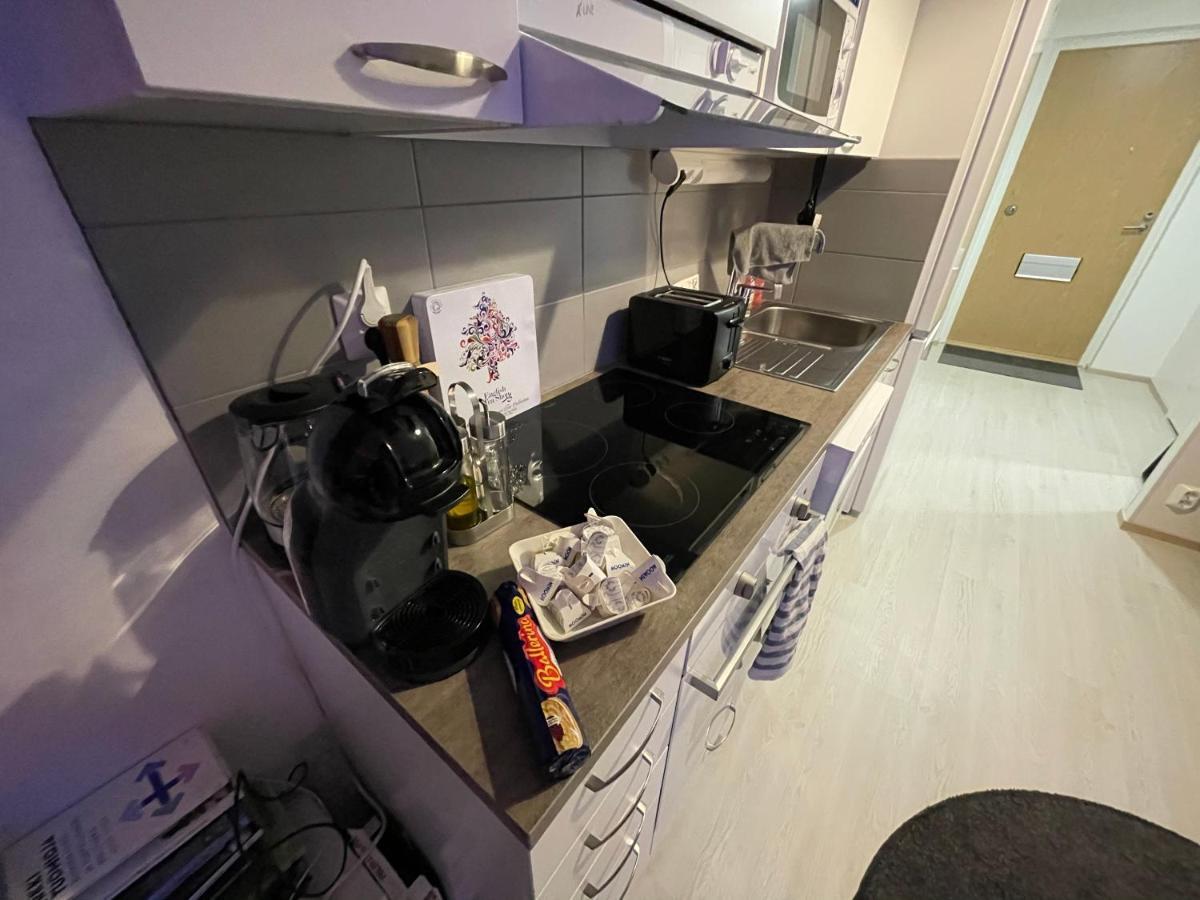 Arctic Penthouse Studio With Free Parking And High-Speed Wi-Fi Рованиеми Экстерьер фото